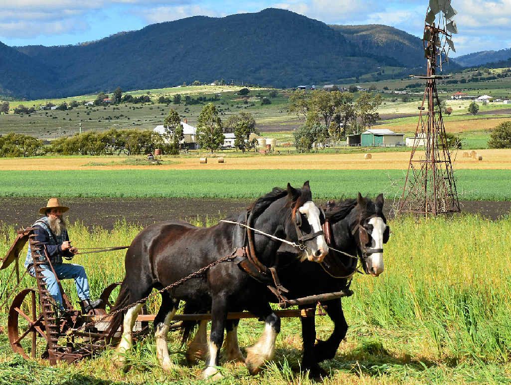 Heavy horses in action at Mick Bradford’s fundraiser for RACQ CareFlight.